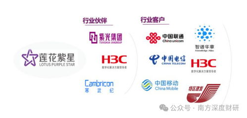 從調味品到AI新勢力 蓮花控股業績領跑同行，科技版圖再落信息技術咨詢服務關鍵一子