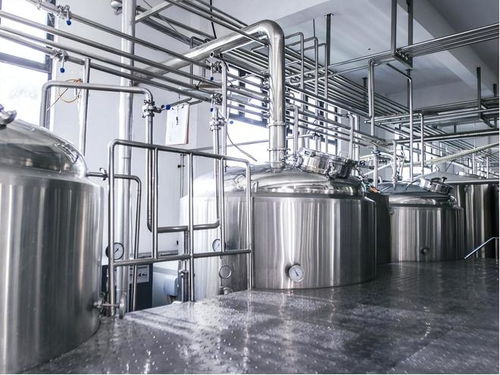 酒香何處尋？—— 傳統酒業的變遷與現代市場挑戰