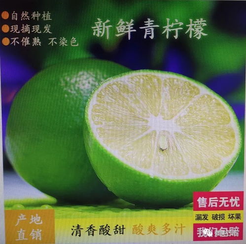 芒市注入兩千余萬資金，以電商賦能鄉(xiāng)村振興